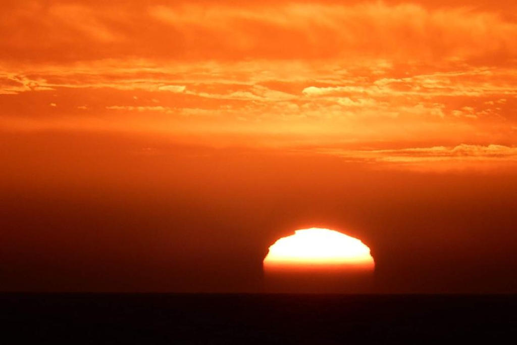 Sydney swelters in heatwave conditions.